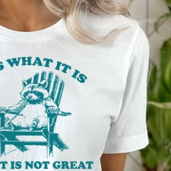 It Is What It Is And It Is Not Great Shirt, Raccoon Meme Shirt, Funny Shirt - Picture 3 of 4